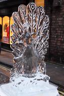 ice peacock in Christmas time