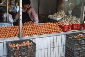 orange Eggs Market