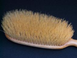 Clothes Brush dry