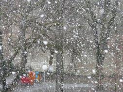 snow storm in city