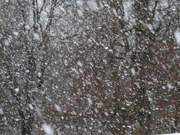 icy snowfall