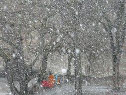 nice Snowflakes