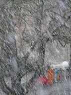 snowfall in city