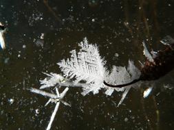 Ice Crystal