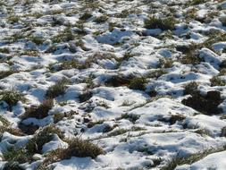 Field Snowy winter