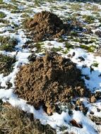 Molehill Earth water