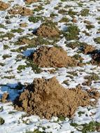 Molehill Earth snow