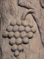 carved on a tree bunch of grapes