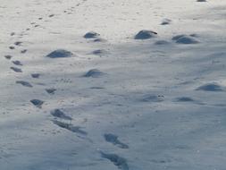 Molehill Footprint