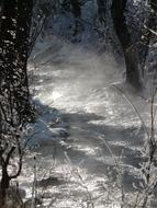 Watercourse Winter forest