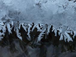 Ice Crystals on tree