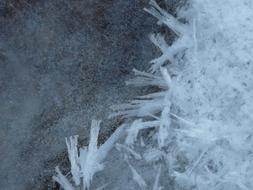 macro photo of ice crystals