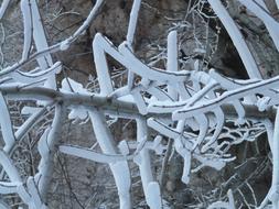 ravishing Aesthetic Iced