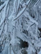 perfect Branches Aesthetic Hoarfrost