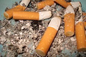 cigarette butts in tray