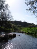 calm River at spring