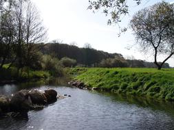 Beautiful river with the rocks, with the colorful plants, on the hills
