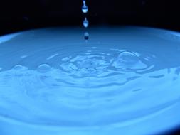 Drop Of Water milk