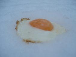 Fried egg on Snow