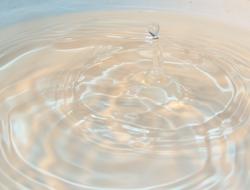 Clear Drop Of Water