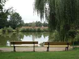 two benches in front of Pond