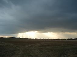 Sunburst Clouds grass