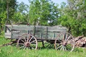 Vintage Wagon green forest