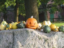 Pumpkin Halloween street