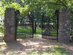 Gate Wrought Iron