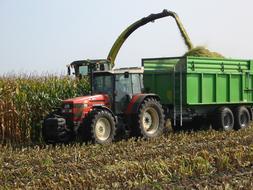 tractors harvesting corn