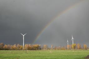 ravishing Rainbow Meadow