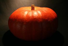 Pumpkin Orange hot drawing