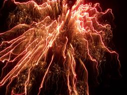 Firework Night