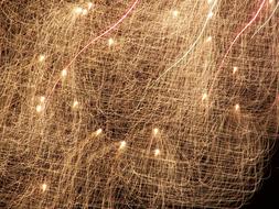 celebrate Night Light