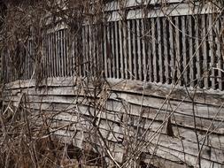 Wood Rustic