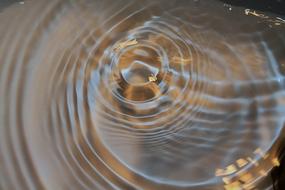 Water Drop macro photo