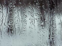 Rain Raindrops