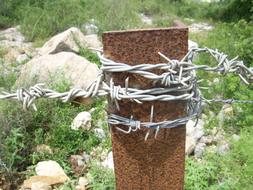 Barbed Wire grey