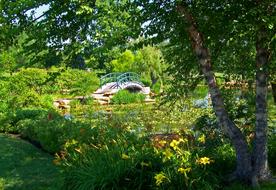 Monet Bridge and Park