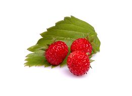 photo of three strawberry berries and a green leaf on a white background