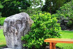 Garden Japanese Rock and bush