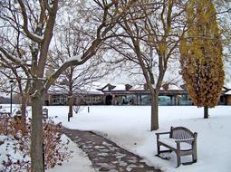 Sidewalk Bench Snow forest