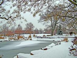 Frozen Pond in park on snowy winter