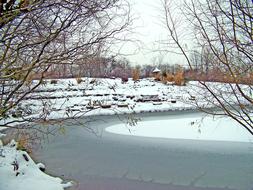 bare trees on the shore of a frozen pond
