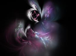 fractal rose burgundy design drawing