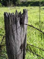 Fence Post old