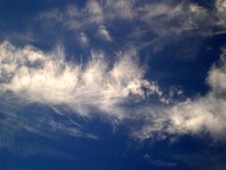 magnificent Clouds White Sky