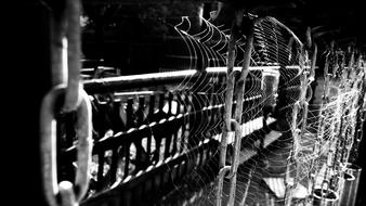 Spiderweb Chain