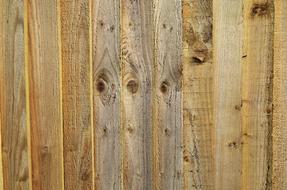 Planks Lumber