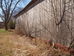 Wood old farm